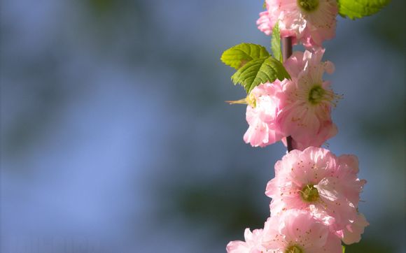 水中石油类怎么采样