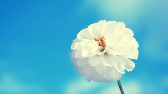 ad怎么修改所有字体